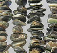Iridescent abalone shell chip beads